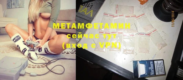 шишки Майский
