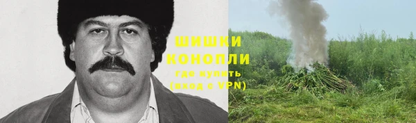 бутират Мегион