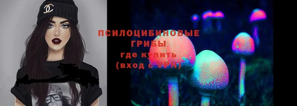 прущие крисы Магадан