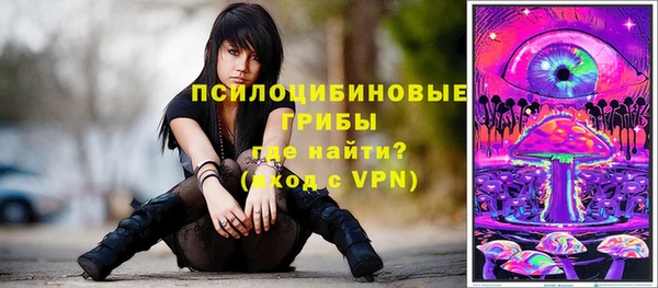 стаф Медногорск