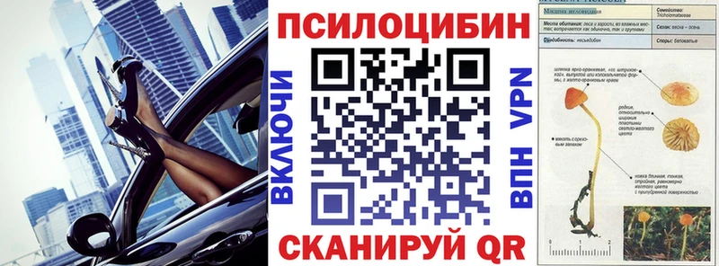 купить   Поворино  ОМГ ОМГ онион  Псилоцибиновые грибы мицелий 