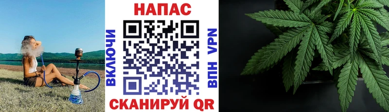 цена   мега вход  Бошки марихуана ГИДРОПОН  Поворино 